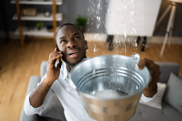 Best Local water damage restoration  in Dublin, CA