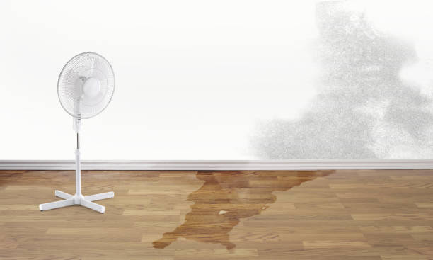Best Emergency water damage restoration  in Dublin, CA