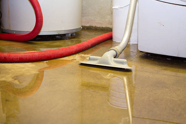  Dublin, CA Water damage restoration Pros
