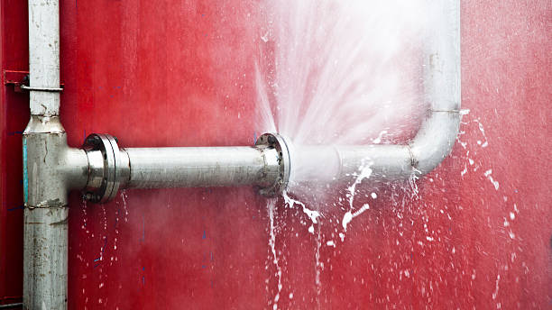 Best Professional water damage repair  in Dublin, CA