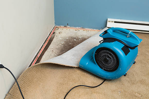Best Water damage repair service  in Dublin, CA